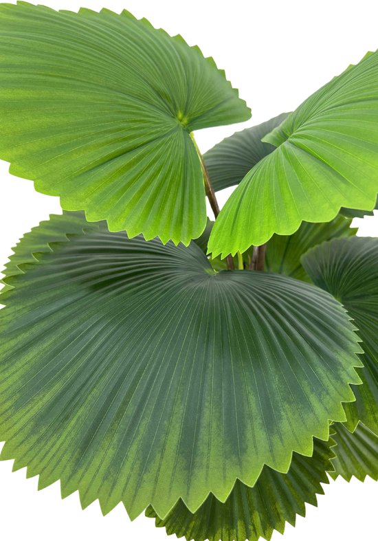 Kunstplant Waaierpalm 90 cm | Fan Palm | Altijd de beste deals - 5343