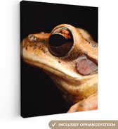 Canvas Schilderij Kikker - Oog - Zwart - 60x80 cm - Wanddecoratie