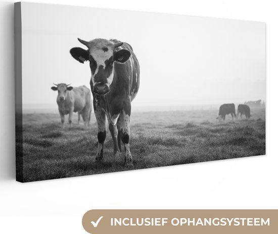 Tableau Toile Vaches dans la brume matinale photo noir et blanc - 80x40 cm - Décoration murale