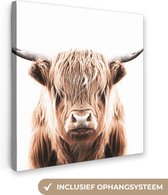 Dieren - Schotse Hooglander - Koe - Canvas - 20x20 cm - Wanddecoratie