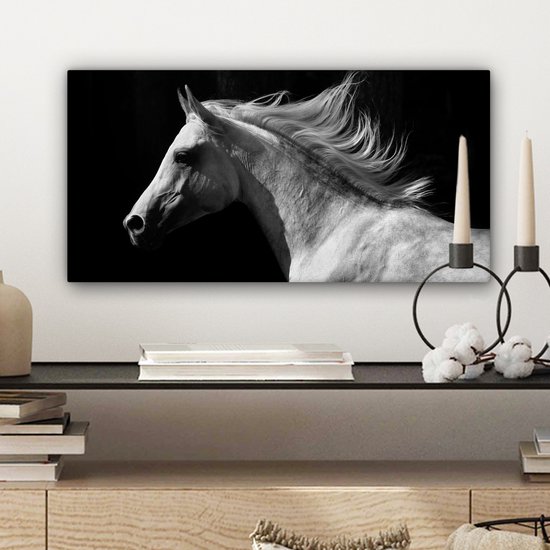 Tableau sur Toile Paarden - Animal de la Ferme - Crinière - 40x20 cm - Décoration murale