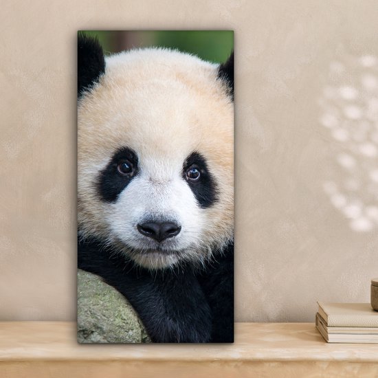 OneMillionCanvasses - Canvas - Panda - Steen - Natuur - Muurdecoratie - 20x40 cm - Canvas schilderij - Canvas doek