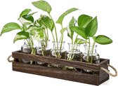 plantenbakken met houten standaard, dubbellaags met 5 glazen flessen voor kamerplanten, retro planten, terrarium, desktopvaas, voor plantenliefhebbers, hydrocultuur