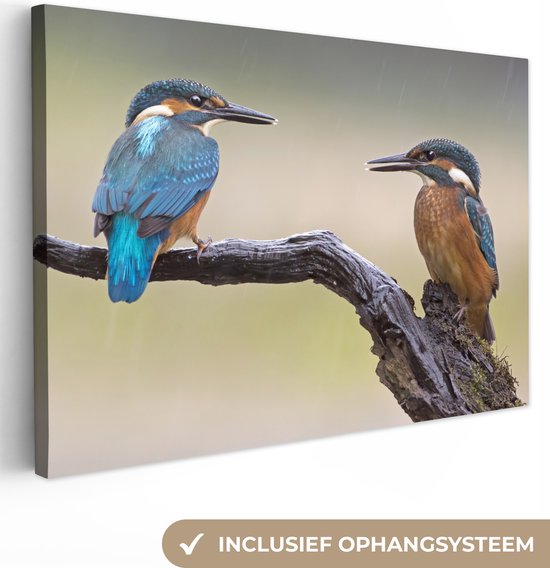 Canvas Schilderij IJsvogels - Blauw - Oranje - 90x60 cm - Wanddecoratie