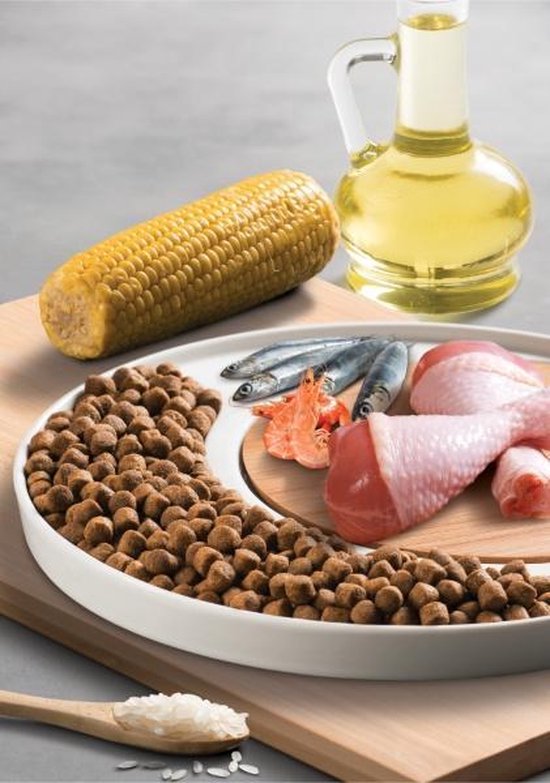 Un bol de croquettes pour chats, entouré d'ingrédients : maïs, petits poissons, crevettes, poulet, huile et riz.