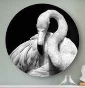 HIP ORGNL Schilderij Flamingo - ⌀120cm - Wandcirkel dieren - Zwart wit