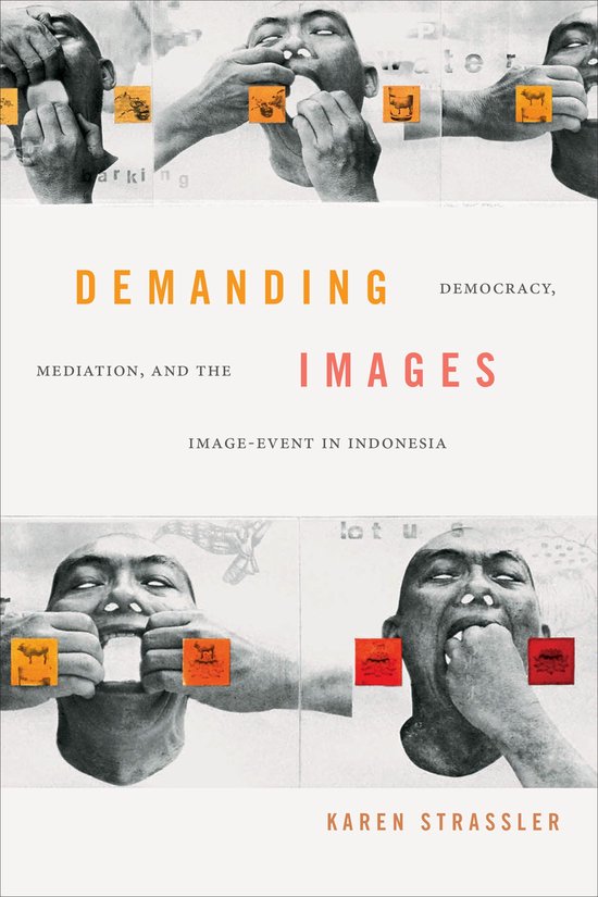 Demanding Images - cover