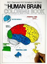 Human Brain Colouring Book FIRM
