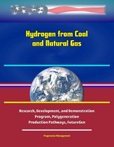 Hydrogen from Coal and Natural Gas: Research, Development, and Demonstration Program, Polygeneration, Production Pathways, FutureGen