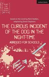 Plays for Young People - The Curious Incident of the Dog in the Night-Time: Abridged for Schools