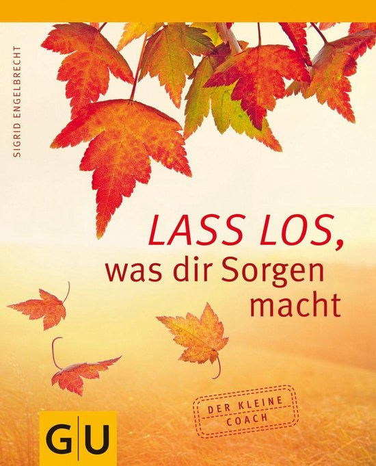 Lass los, was Dir Sorgen macht - cover
