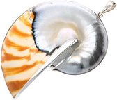 Zilveren Nautilus schelp XL kettinghanger