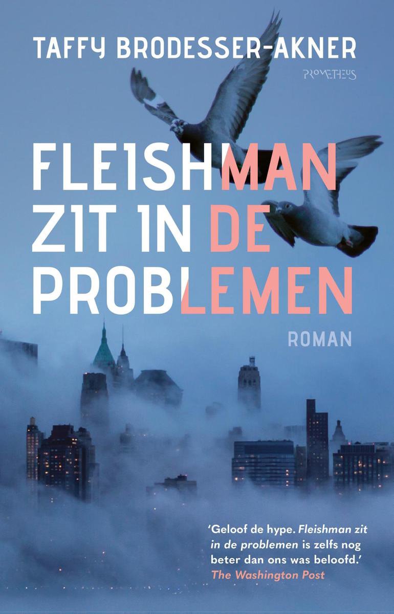 Omslag van Fleishman zit in de problemen