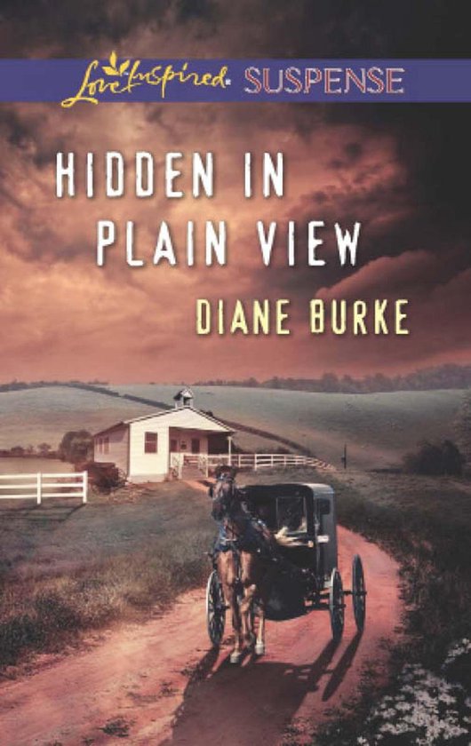Hidden in Plain View (Mills & Boon Love Inspired Suspense) - cover