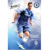 Chelsea FC Poster - Torres - 91 X 61 Cm - Multicolor