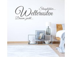 Muursticker Welterusten Slaaplekker Droomzacht - Donkergrijs - 120 x 42 cm - slaapkamer nederlandse teksten
