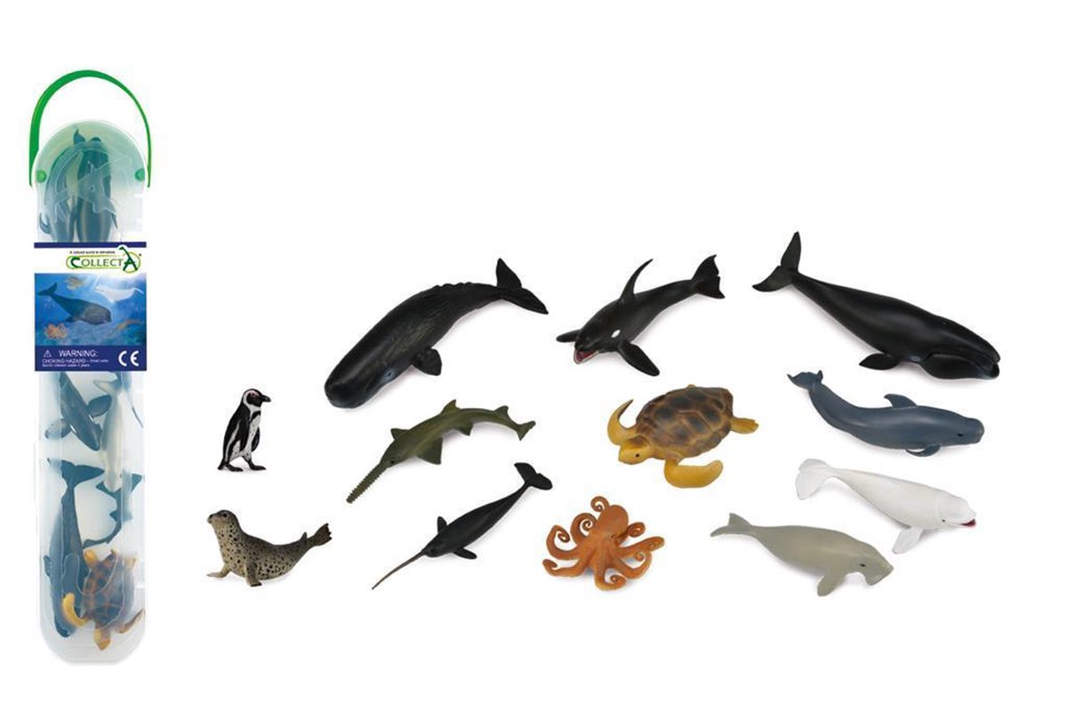 COLLECTA Figurine Mini Set - 12 Zeedieren - Zeedieren - Handgeschilderd - Miniatuur