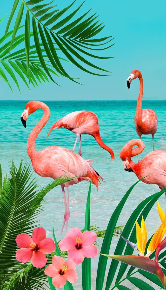 Good Morning Strandlaken Flamingo 100 X 180 Cm Velours