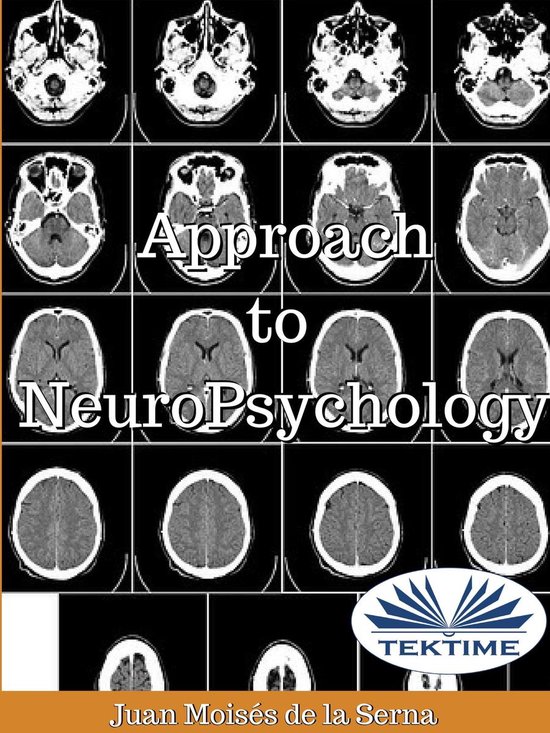 Approach To Neuropsychology - cover