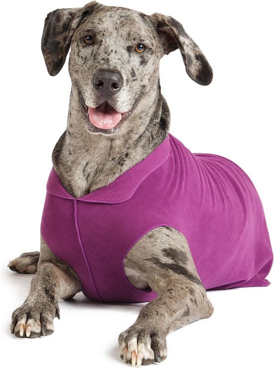 Goldpaw - Stretch Fleece Pullover - Rekbare Hondenjas/Hondentrui - Paars -  Maat 2 (1-5kg) | bol.com