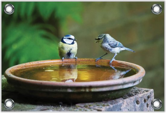 Tuinposter –Twee Meesjes bij Water– 40x30 Foto op Tuinposter (wanddecoratie voor buiten en binnen)