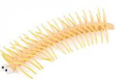 Toi-toys Duizendpoot Junior 2 Meter Rubber Geel