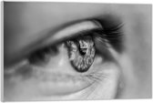 Acrylglas  –Pupil Zwart - Wit-60x40 (Met ophangsysteem)
