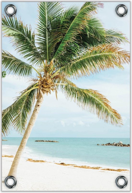 Tuinposter –Mooie Palmboom aan het Strand – 100x150  Foto op Tuinposter (wanddecoratie voor buiten en binnen)