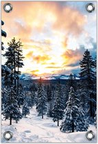 Tuinposter –Besneeuwde Bomen / Bergen– 100x150  Foto op Tuinposter (wanddecoratie voor buiten en binnen)