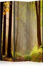 Kamerscherm - Scheidingswand - Vouwscherm - Mysterious forest path [Room Dividers] 135x172 - Artgeist Vouwscherm