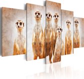 Schilderijen Op Canvas - Schilderij - Family of meerkats 100x50 - Artgeist Schilderij