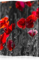 Kamerscherm - Scheidingswand - Vouwscherm - Red Poppies [Room Dividers] 135x172 - Artgeist Vouwscherm