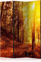 Kamerscherm - Scheidingswand - Vouwscherm - Autumn Walk [Room Dividers] 135x172 - Artgeist Vouwscherm