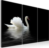 Schilderijen Op Canvas - Schilderij - A lonely white swan 60x40 - Artgeist Schilderij