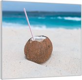 Acrylglas –Kokosnoot met Rietje op Strand -50x50 (Met ophang)