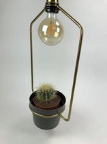 - hanging lamp | frome pot | blue/gold | 27x16x50cm - goud - 27x16x50