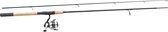 Mitchell Tanager R 212 Spin - 7-20g - 2.10m