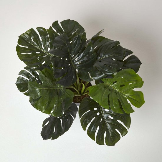 Homescapes Plante artificielle Monstera en pot, 60 cm