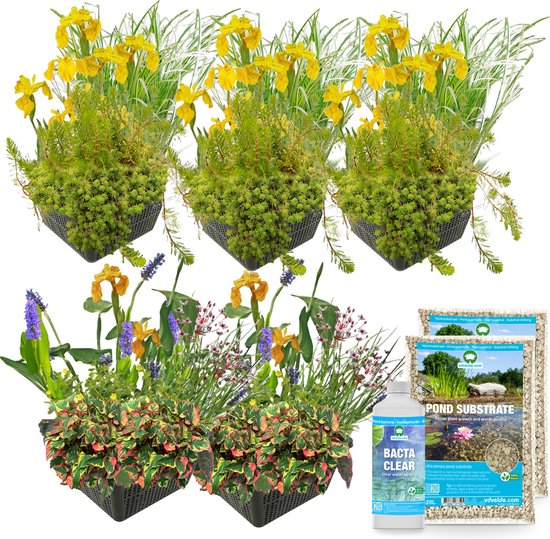 vdvelde.com - Plantenfilter Bak Planten Pakket - L - 125 cm - Voor bak 150 cm - 20 Planten - Incl. benodigdheden