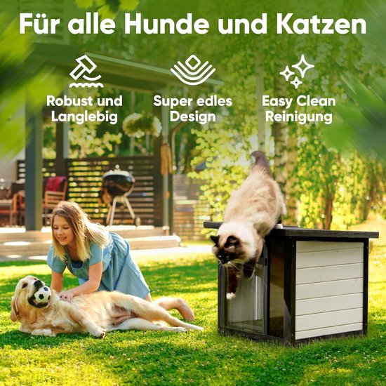 Kattenhuisje voor geredde katten in Dnipro, Oekraïne! - Animals Today