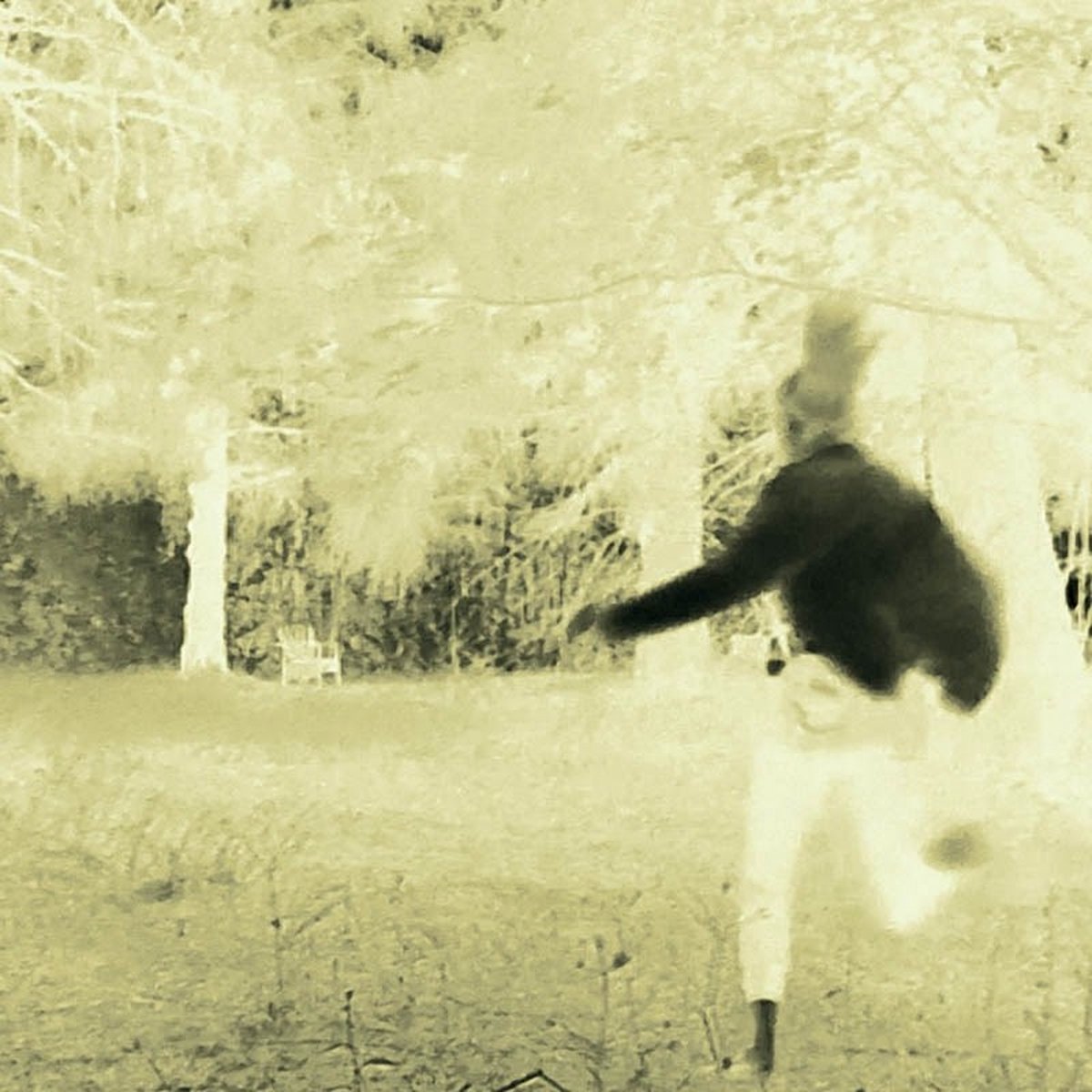 Marc Barreca - A Discourse Of Mist (CD)