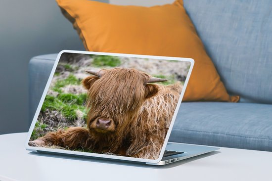 Laptop sticker - 15.6 inch - Schotse Hooglander - Hooi - Gras - 36x27,5cm - Laptopstickers - Laptop skin - Cover