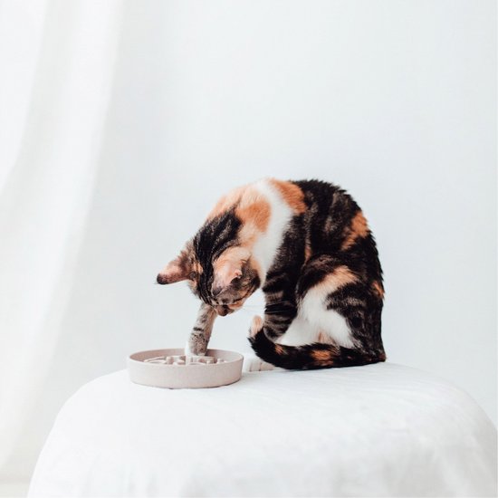 District 70 BAMBOO Slowfeeder - Stijlvolle anti-schrok voerbak voor katten – Merengue - Ø13 cm - Merengue Ø13 cm