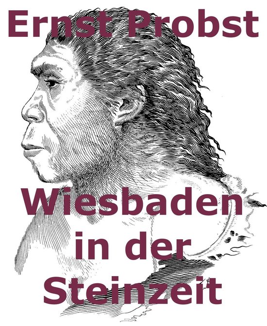 Wiesbaden in der Steinzeit - cover