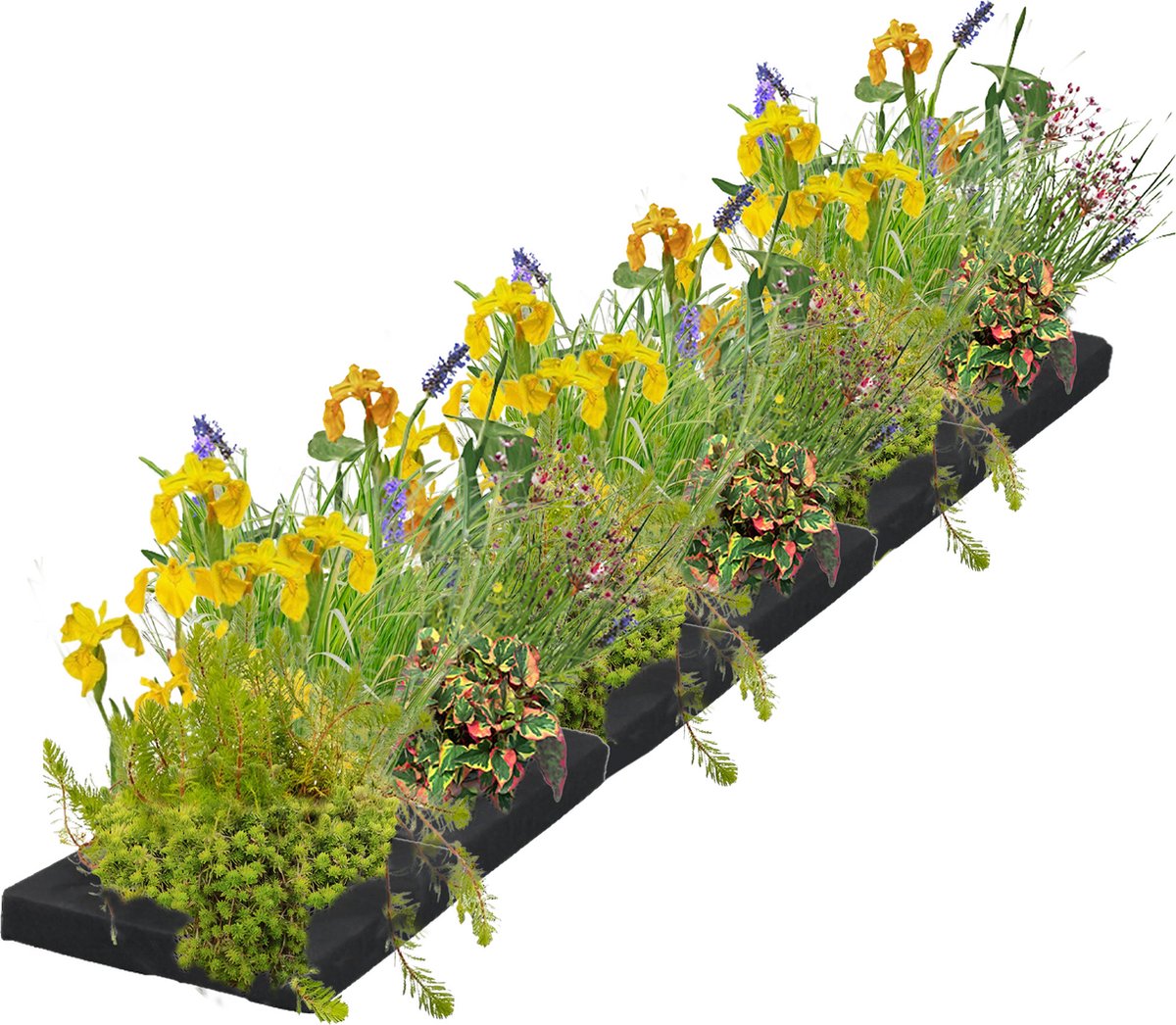 Vdvelde.com Drijvend Plantenfilter M 150 cm Waterplanten 24 planten Plaatsing: -10 tot -20 cm