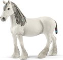 Wit paard met grijs gevlochten manen en blauwe versieringen.