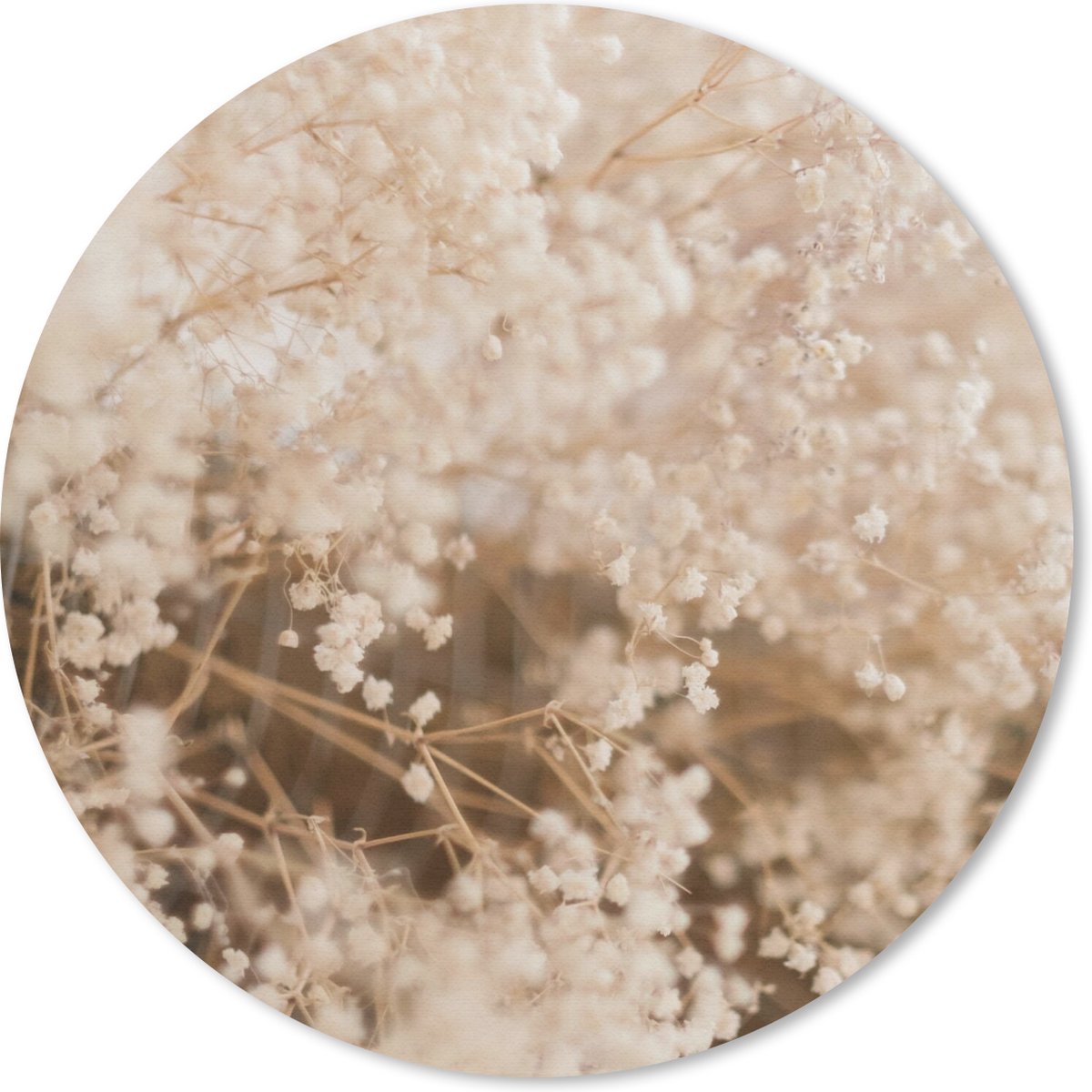 Muismat rond 30x30 cm - Mousepad Pampasgras - Plant - Natuur - Ronde muismatten