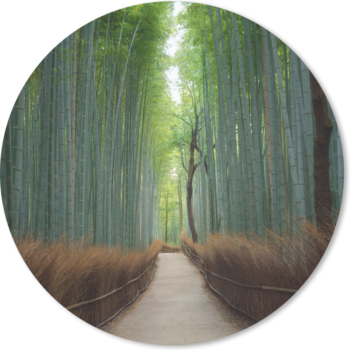 Muismat rond 30x30 cm - Mousepad Bamboe - Pad - Bos - Ronde muismatten