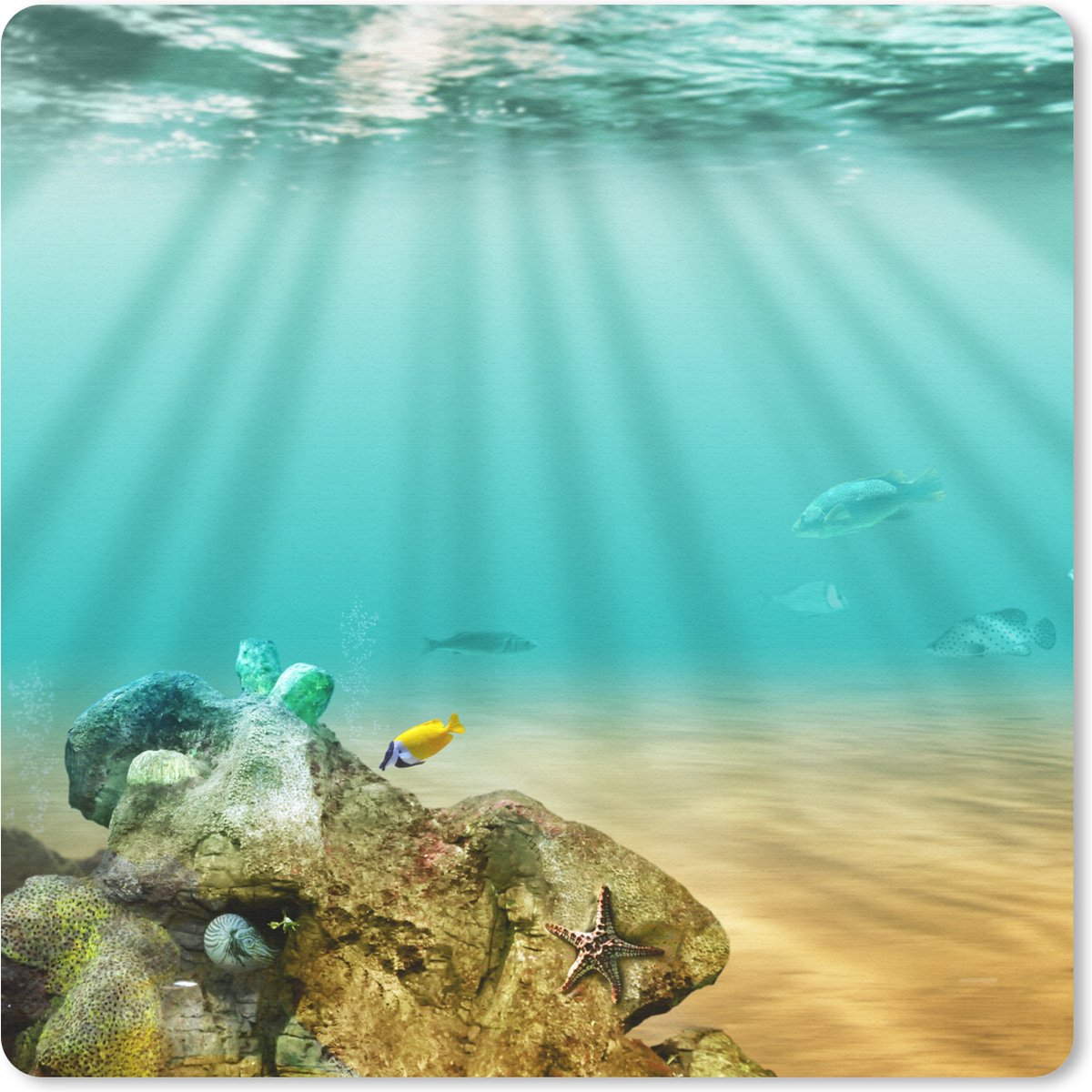 Muismat 30x30 cm - Mousepad Zee - Vissen - Water - Muismatten