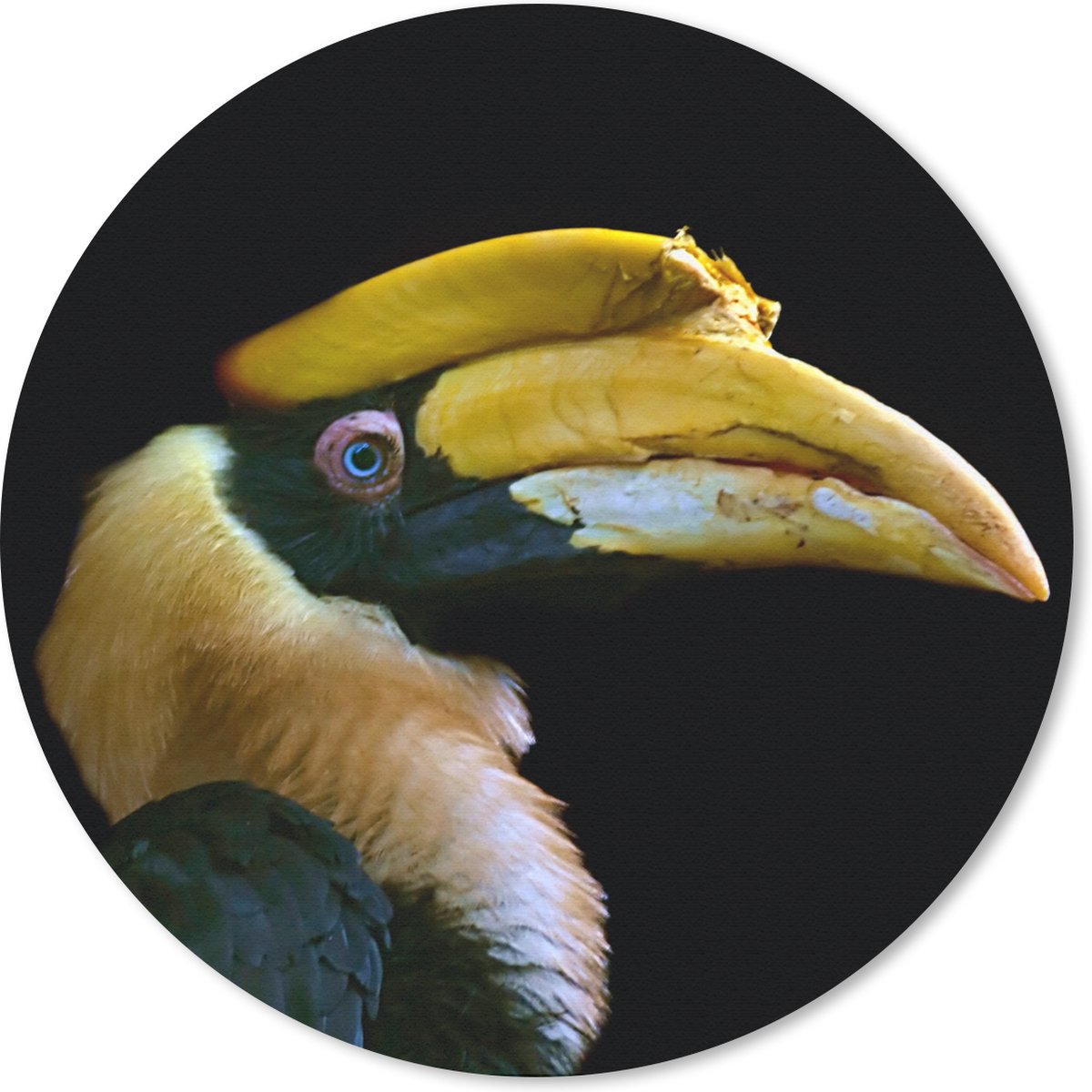 Muismat rond 50x50 cm - Mousepad Vogel - Snavel - Zwart - Ronde muismatten